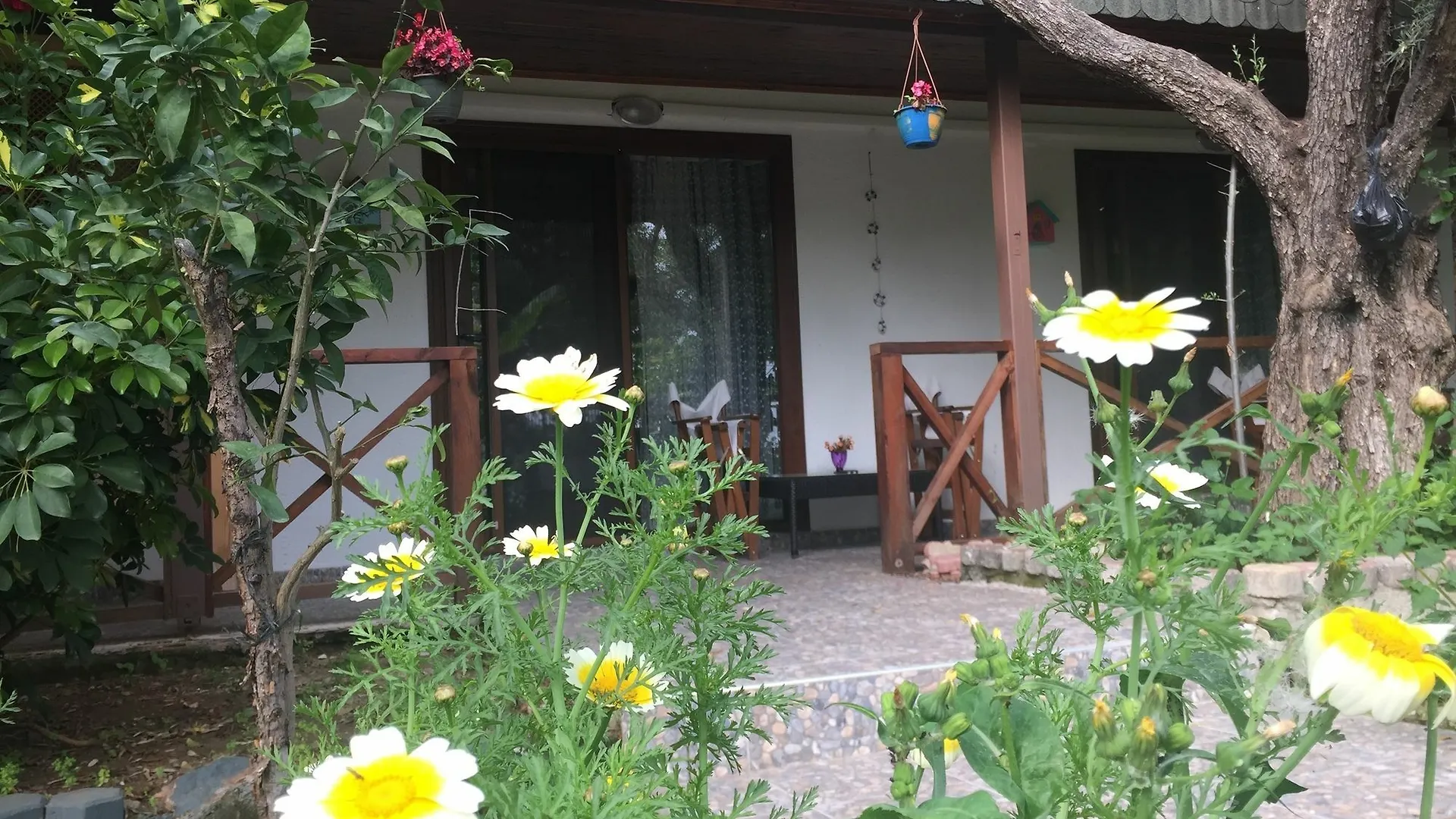 Lagoon Boutique Otel Ölüdeniz 2*,  Turchia